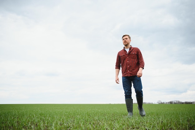 Farmer walking between agricultural fields