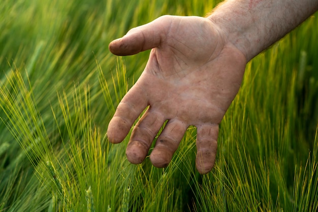 Farmer walking through a field