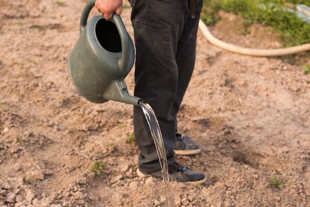 Farmer watering plants in the garden