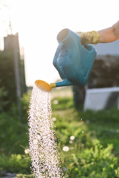 Farmer watering a vegetable garden at sunset,