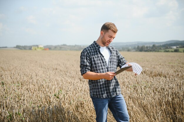 Farmer in wheat field with harvester