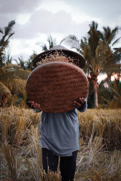 Photo farmer winnowing on agricultural field