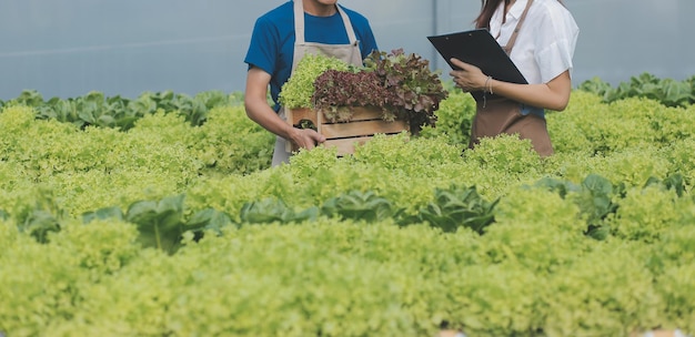 Farmer with digital device checking on tablet with plantation