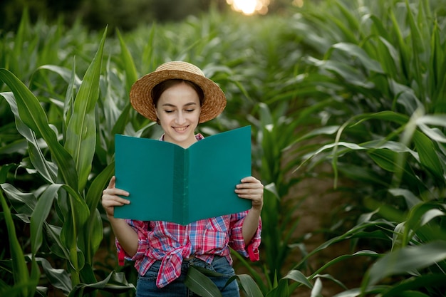 Farmer with a folder stands in a corn field and checks the growth of vegetables. Agriculture - food production, harvest concept.