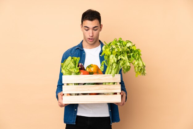 Farmer with freshly picked vegetables in a box on beige wall