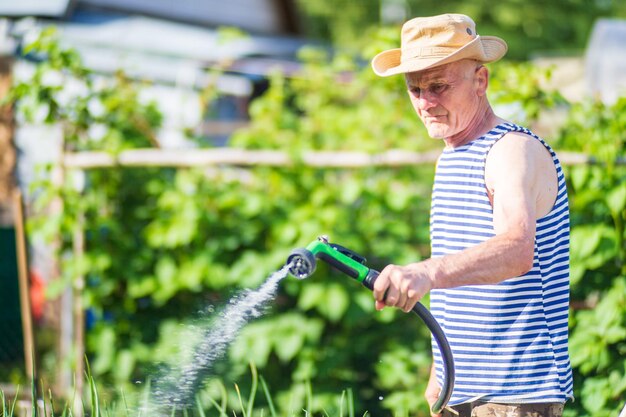 写真 ガーデンホースと銃のノズルを使った農夫が夏に野菜の植物に水を注ぐ ガーデニングコンセプト 床の列で育つ農業植物