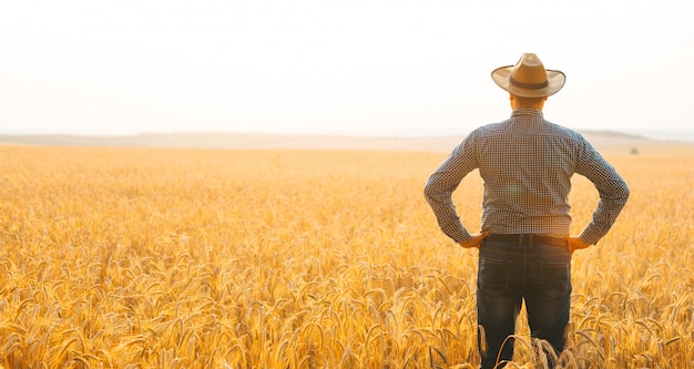 Фермер в шляпе на голове на пшеничном поле с видом на закат