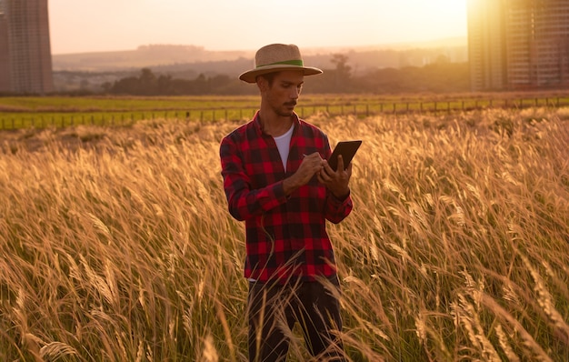 Farmer with hat and mobile tablet analyzing the plantation on sunset. 