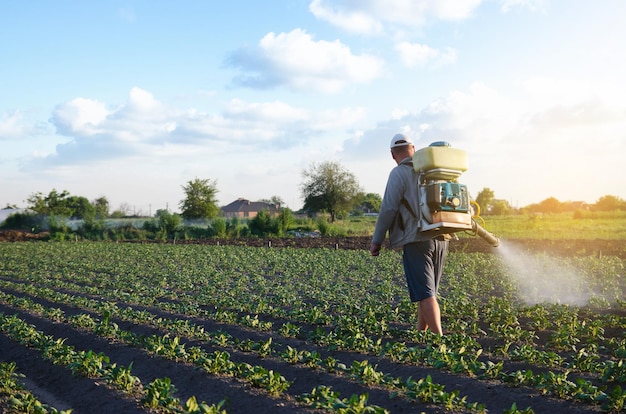 A farmer with a mist fogger sprayer sprays fungicide and\
pesticide on potato bushes protection of cultivated plants from\
insects and fungal effective crop protection impact on\
environmental