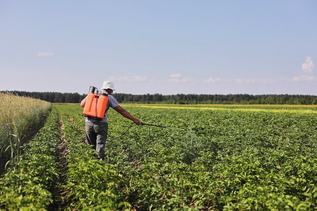 A farmer with a mist sprayer treats the potato plantation from\
pests and fungus infection. use chemicals in agriculture.\
agriculture and agribusiness. harvest processing. protection and\
care.