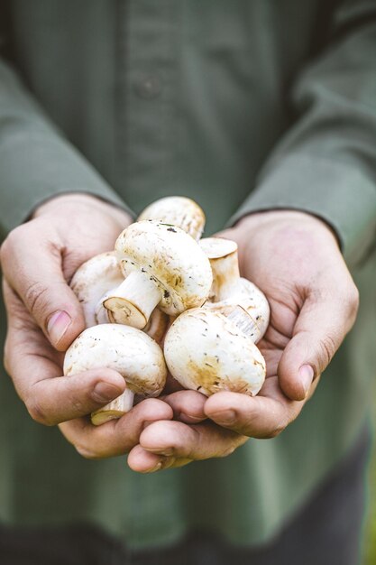 Farmer with mushrooms