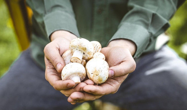 Farmer with mushrooms