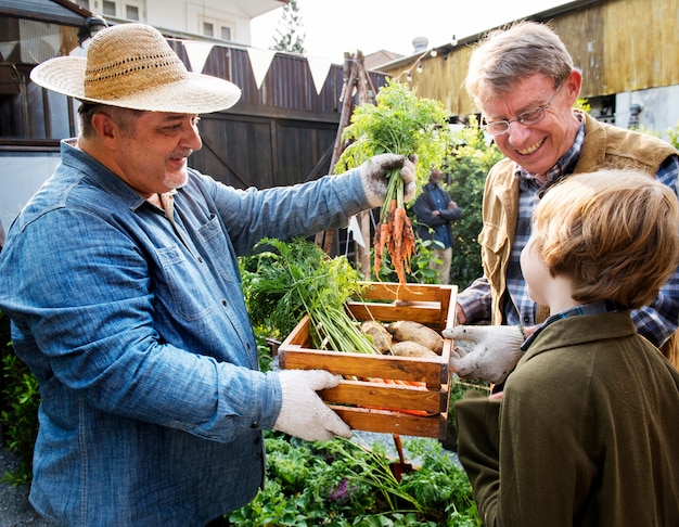 Farmer with organic nature product vegetables gardening