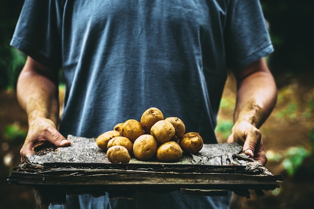 Farmer with potatoes