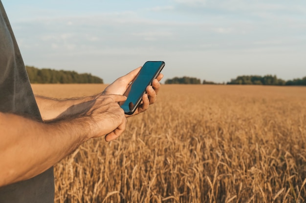 Contadino con uno smartphone in mano sullo sfondo di un campo di grano