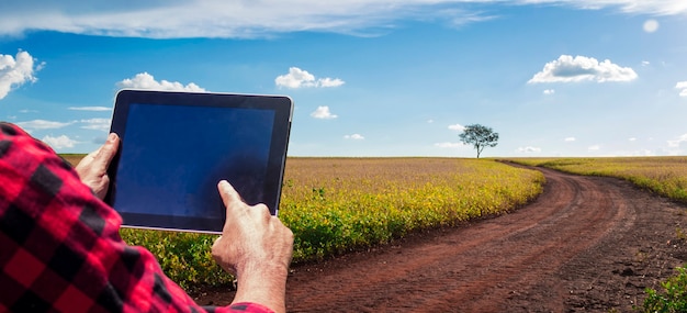 Farmer with tablet computer on the soy bean plantation field countryside at sunset