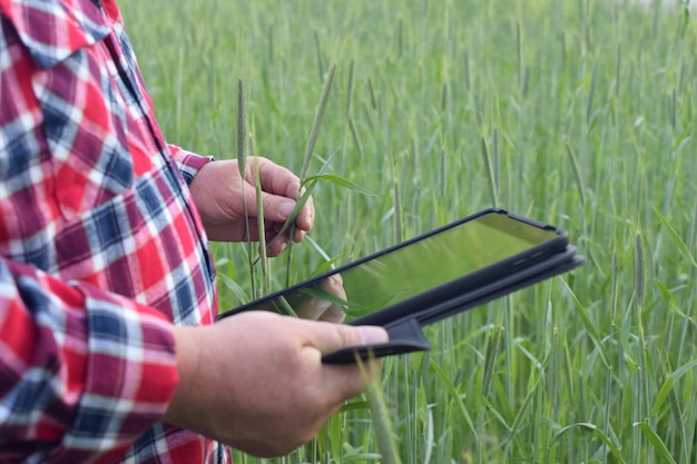 Farmer with a tablet on the field