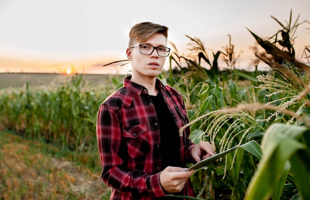 Farmer with tablet at sunset in corn field, agriculture management concept