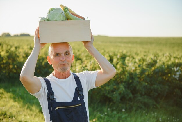 Farmer with wooden box of vegetables in field