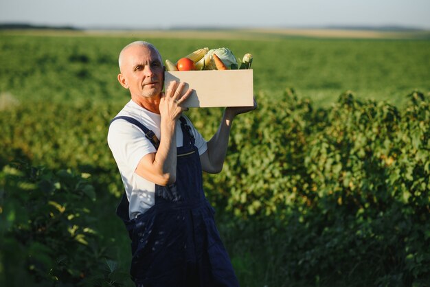 Farmer with wooden box of vegetables in field