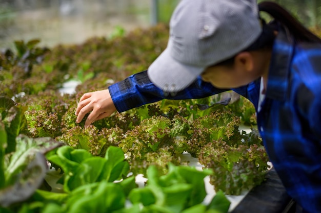 Photo farmer woman caring hydroponics vegetable plot organic vegetables