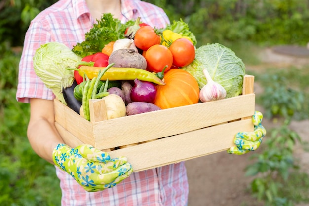 Фермерка в перчатках, держащая деревянную коробку, полную свежих сырых овощей