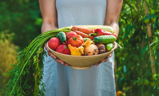 La donna dell'agricoltore raccoglie le verdure nel giardino messa a fuoco selettiva