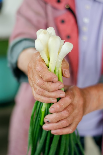 農家の女性が手に新鮮なネギを持っています若いネギの束