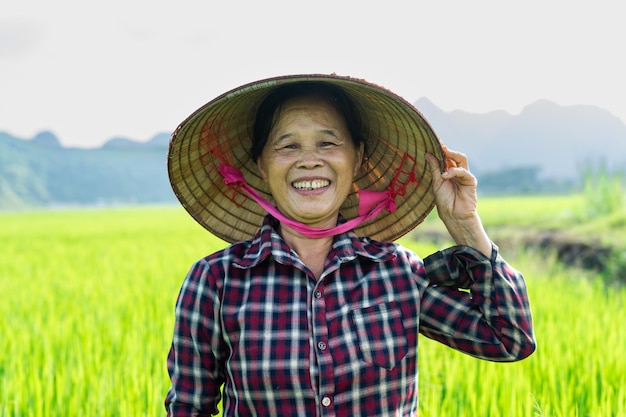 Женщина-фермер на рисовом поле