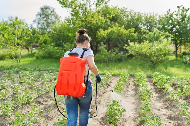 野菜畑でジャガイモ植物を噴霧する農家の女性