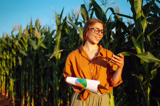 농부 여자 스탠드 필드 검사 녹색 옥수수 농장 농업 산업 수확 관리