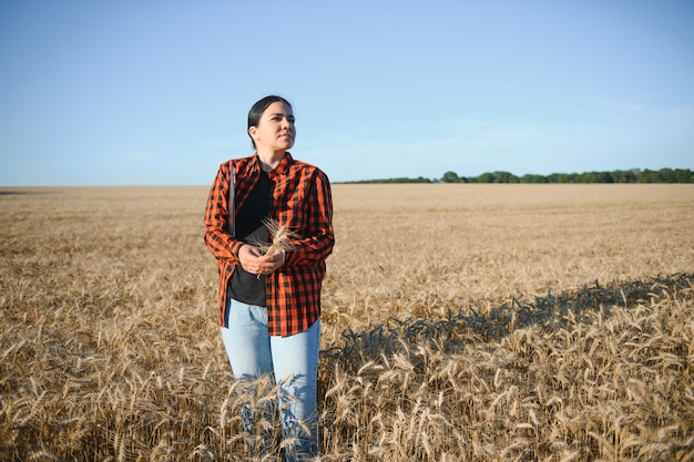 Farmer woman working in wheat field at sunset agronomist farmer\
business woman looks into tablet in wheat field modern\
technologists and gadgets in agriculture business woman working in\
field