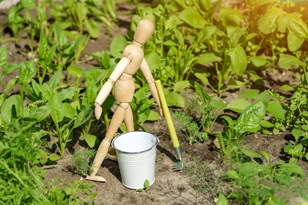 Фермер деревянный человек копает в своем огороде, чтобы посадить органический салат Концепция устойчивого образа жизни