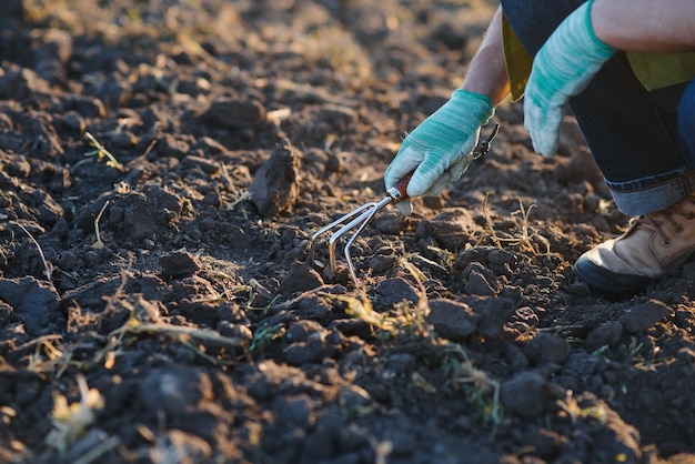 Farmer working in corn field with copy space