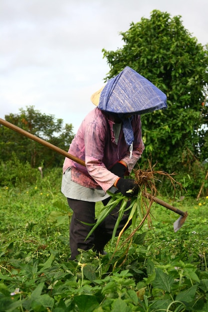 Photo farmer working at farm against sky