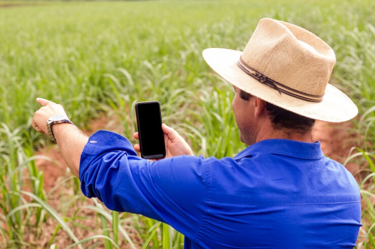 Farmer working in the field of sugarcane taking a photo