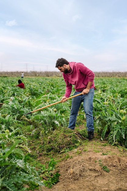 Farmer working the land in a farm field