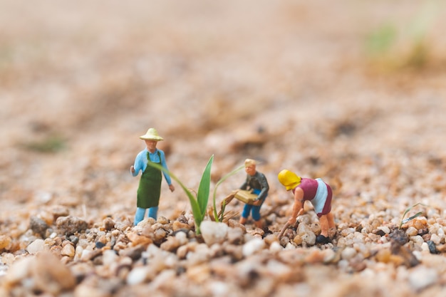 写真 砂漠の農民作業プロット