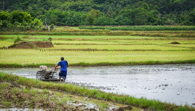 농부 일 쟁기 농지 경작 농업 아시아에 대 한 준비 쌀 필드에 트랙터를 걷고