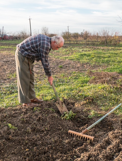 Farmer working with a shovel in the garden in autumn time