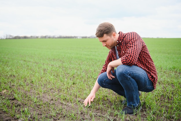 Farmer works in the field