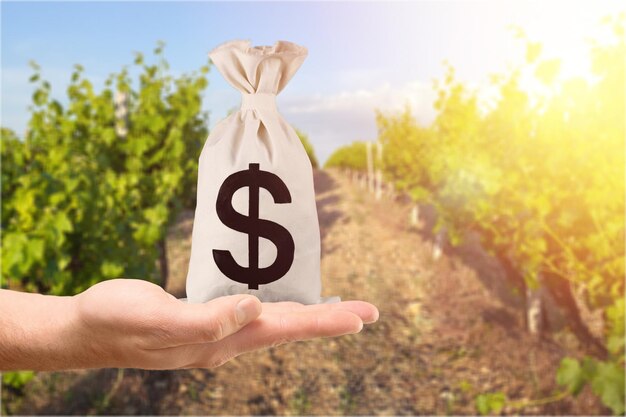 Photo the farmers hand holds a money bag on the plantations background