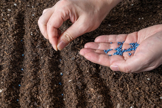 Farmers hand planting seed in soil