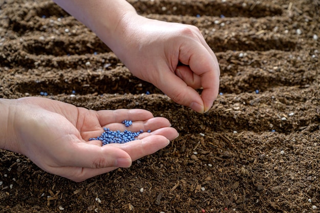 Farmers hand planting seed in soil