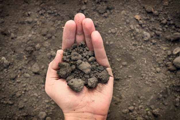 Farmers hand on soil background top view Agriculture gardening or ecology concept layout