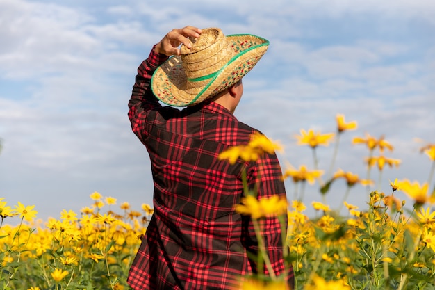 Gli agricoltori ispezionano la soleggiata fattoria dei fiori estivi.