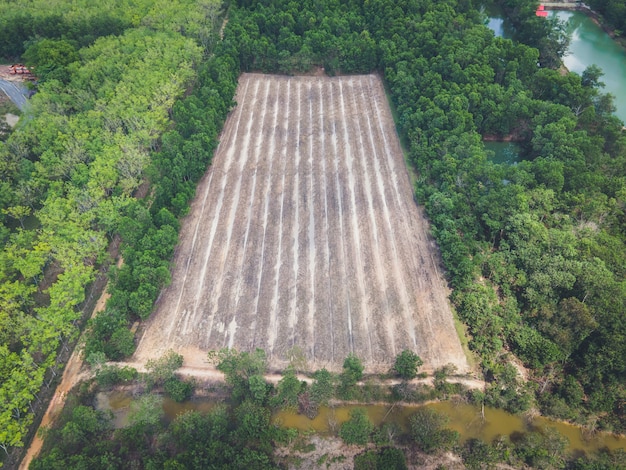 写真 農民は植栽の準備のために地面を準備します