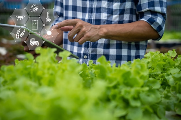 Фермеры используют основную сеть передачи данных в Интернете. Сельскохозяйственные технологии работают над анализом данных об урожае с помощью планшетных технологий для передачи данных о плантациях в Интернет.