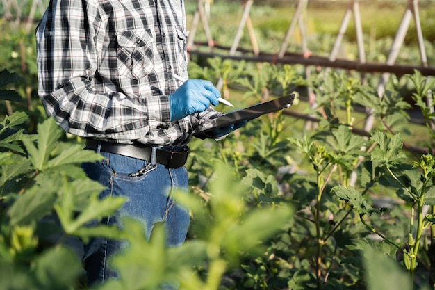 Farmers use the main information network in the internet from their tablets to monitor test and select new crop methods for farmers