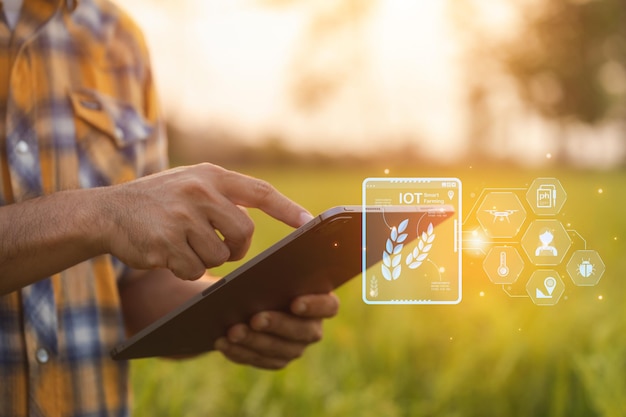 Gli agricoltori utilizzano i computer tablet per controllare i loro campi sono utilizzati per pianificare l'assistenza e l'analisi post-impianto concetti di tecnologia agricola